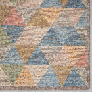 Barnes 8x10 Low Pile Multicolor Wool Rug