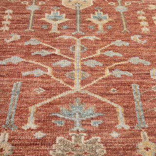 Diana - 10x14 Large Area Heriz Inspired Rug