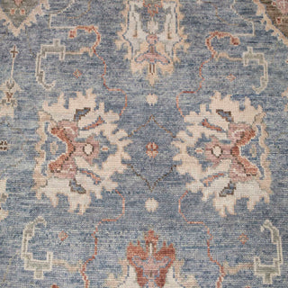 Twyla 9x12 Persian Inspired Oushak Area Rug