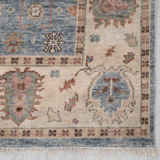Twyla 9x12 Persian Inspired Oushak Area Rug