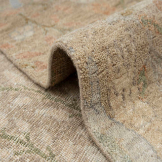 Distressed Traditional Birds Of Paradise Inspired Wool Rug
