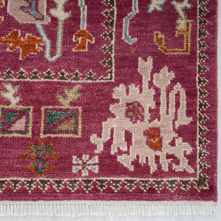 Laleh 8x10 Traditional Persian & Tribal Inspired Wool Rug
