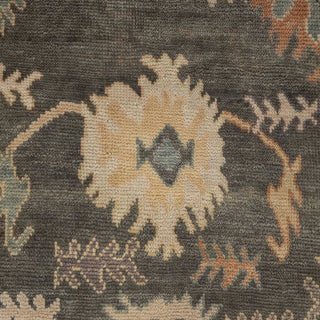 Langford 8x10 Plush Feel Turkish Floral Oushak Inspired Wool Rug