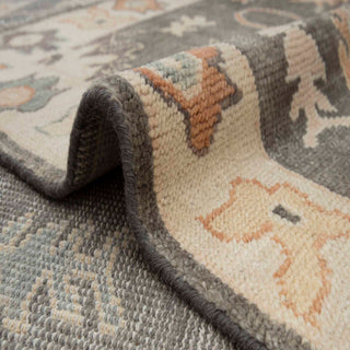 Langford 8x10 Plush Feel Turkish Floral Oushak Inspired Wool Rug