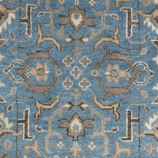 Dewrell 9x12 Traditional Persian Look Woolen Rug