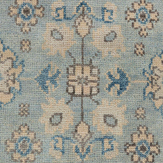 Rebello 8x10 Floral Hand Knotted Woolen Area Rug