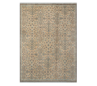 8x10 Light Gold Beige Persian style Oushak, Modern Traditional Hand Knotted Wool Rug
