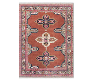 9x12 Coral Pink Vintage Persian Tribal Medallion Inspired Wool Rug