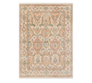 9x12 Living Room Beige Rug Handmade Persian Style Rug