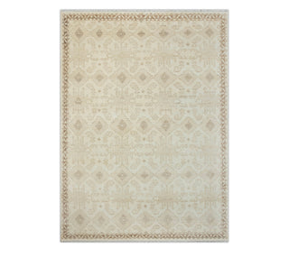 9x12 Neutral Turkmen Tribal Inspired Inspired neutral warm colors Wool Rug