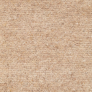 Katelyn 9x12 Neutral Beige Thick Pile Wool Rug