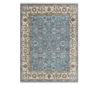 Dewrell 9x12 Traditional Persian Look Woolen Rug
