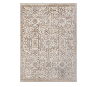 Arabaci 8x10 Vintage Oriental Style Area Rug