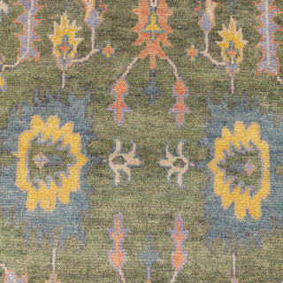 Hand-knotted wool rug featuring botanical motifs on olive field with gold and blue border, 9x12.