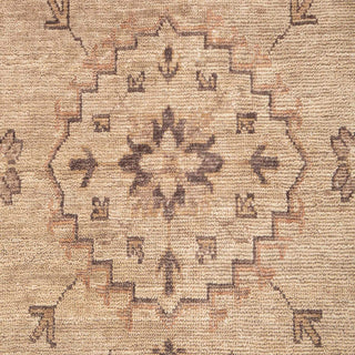 Hand-knotted wool rug featuring tone-on-tone tribal pattern in camel, sand, mocha, 8x10 area rug.