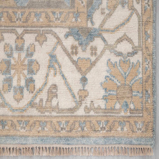 Modern classic hand-knotted rug with soft blue Oushak floral pattern on ivory border, 8x10