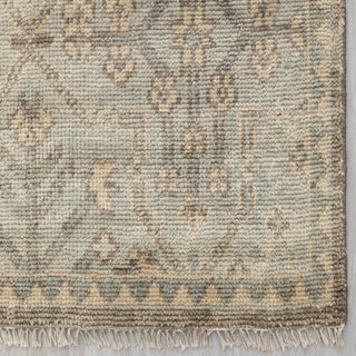 Modern hand-knotted rug with subtle geometric botanical pattern in sage and beige tones, 9x12
