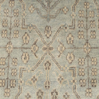 Turkish Oushak-style hand-knotted rug with tribal botanical motifs in soft green and sand, 9x12