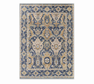 x10 Decorative Blue Modern Persian Style Rug 100% Handknotted Wool Rug